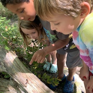 Community Science in the Schoolyard - Teacher Training - logo